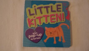 Little Kitten by Louise Martin; Illustrated by Susie Shakir 2009. Parragon